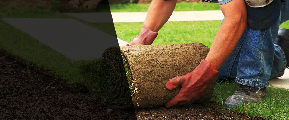 Brockport Landscapers